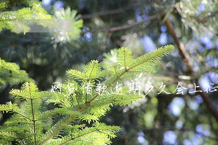 网贷借款逾期多久会上征信