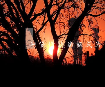 网贷借款逾期成为失信人会怎样 网贷借款逾期成为失信人会怎样