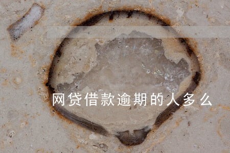 网贷借款逾期的人多么 网贷借款逾期的人多么