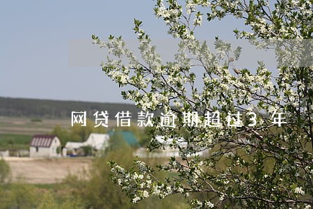 网贷借款逾期超过3年 网贷借款逾期超过3年