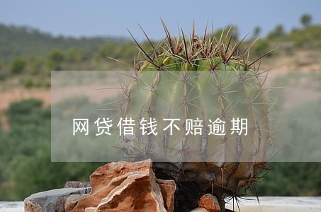 网贷借钱不赔逾期 网贷借钱不赔逾期