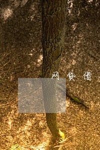 网贷借钱不逾期上征信吗
