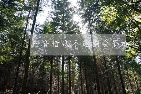网贷借钱不逾期会影响征信吗 网贷借钱不逾期会影响征信吗