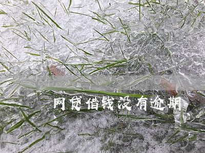 网贷借钱没有逾期