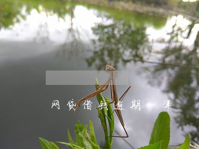网贷借钱逾期一年 网贷借钱逾期一年