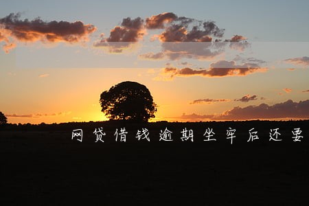 网贷借钱逾期坐牢后还要还吗 网贷借钱逾期坐牢后还要还吗
