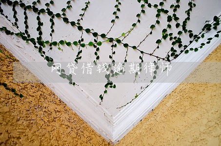 网贷借钱逾期律师 网贷借钱逾期律师