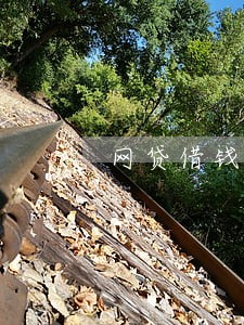 网贷借钱逾期未还后果 网贷借钱逾期未还后果