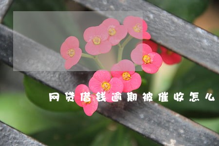 网贷借钱逾期被催收怎么投诉 网贷借钱逾期被催收怎么投诉