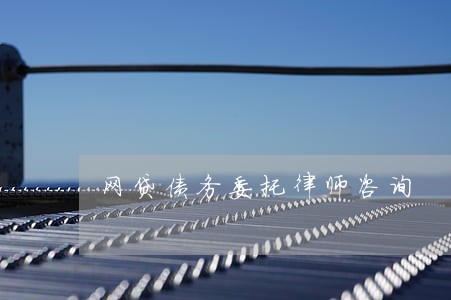网贷债务委托律师咨询