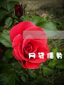 网贷债务爆发逾期如何处理 网贷债务爆发逾期如何处理