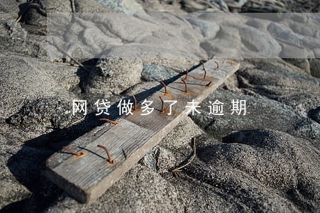 网贷做多了未逾期 网贷做多了未逾期