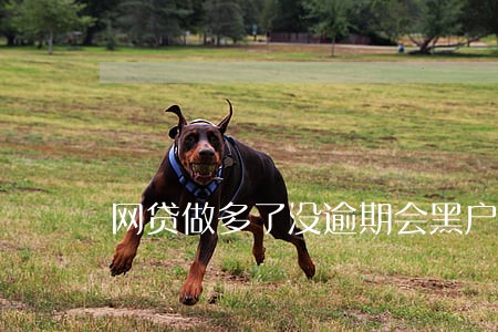 网贷做多了没逾期会黑户吗 网贷做多了没逾期会黑户吗