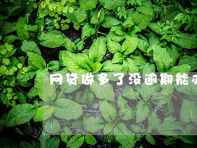 网贷做多了没逾期能办信用卡 网贷做多了没逾期能办信用卡