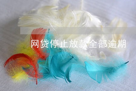 网贷停止放款全部逾期 网贷停止放款全部逾期