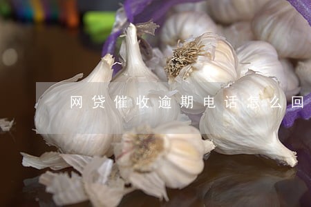 网贷催收逾期电话怎么回答 网贷催收逾期电话怎么回答