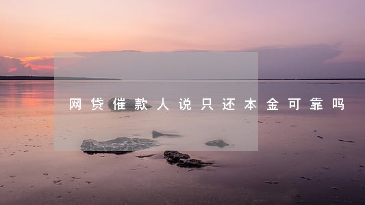 网贷催款人说只还本金可靠吗