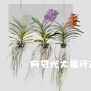 网贷光大银行逾期 网贷光大银行逾期