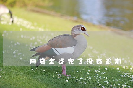 网贷全还完了没有逾期 网贷全还完了没有逾期