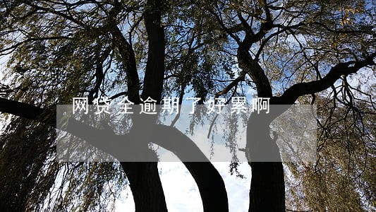 网贷全逾期了好累啊