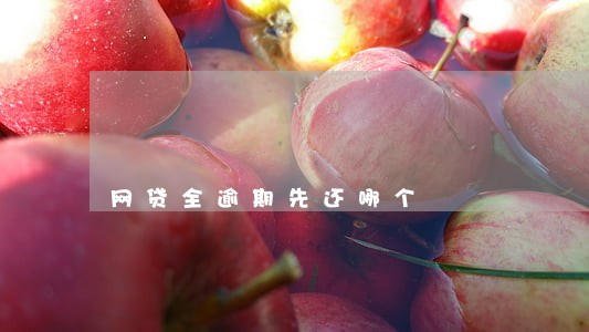 网贷全逾期先还哪个