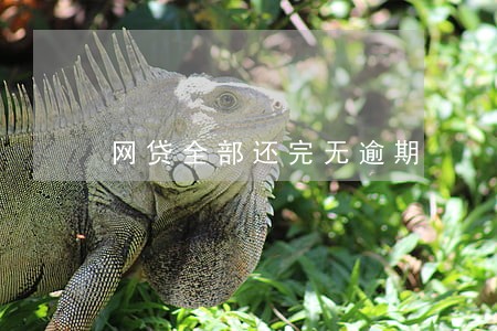 网贷全部还完无逾期 网贷全部还完无逾期