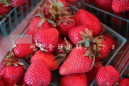 网贷全部逾期2018 网贷全部逾期2018