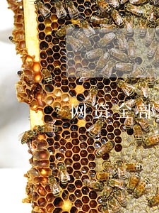 网贷全部逾期一年以上 网贷全部逾期一年以上