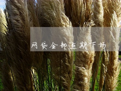 网贷全部逾期下场 网贷全部逾期下场