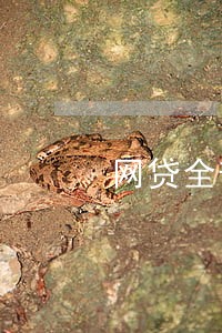 网贷全部逾期不接电话我爱卡 网贷全部逾期不接电话我爱卡
