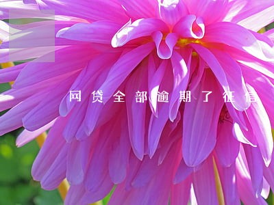 网贷全部逾期了征信 网贷全部逾期了征信