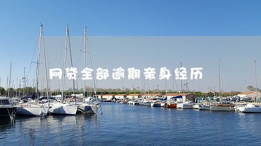网贷全部逾期亲身经历 网贷全部逾期亲身经历