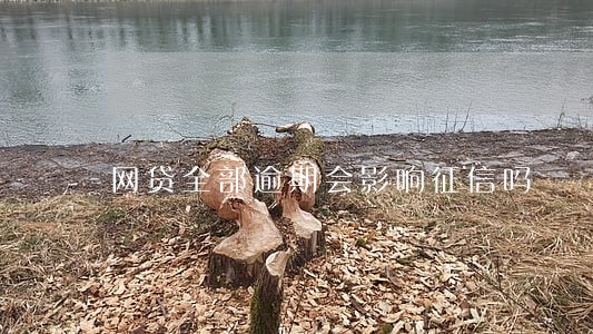 网贷全部逾期会影响征信吗 网贷全部逾期会影响征信吗
