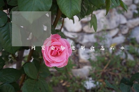 网贷全部逾期会怎么办 网贷全部逾期会怎么办