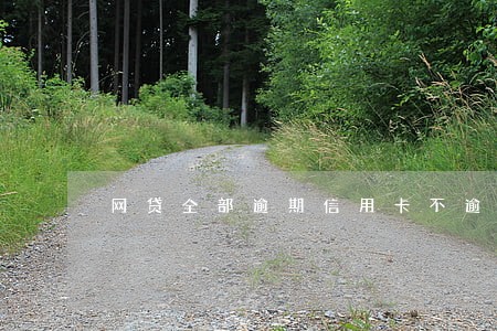 网贷全部逾期信用卡不逾期 网贷全部逾期信用卡不逾期