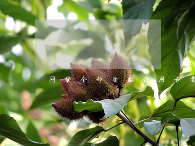 网贷全部逾期信用卡要不要分期 网贷全部逾期信用卡要不要分期