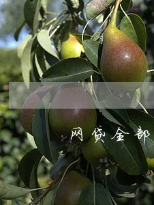 网贷全部逾期反而轻松了
