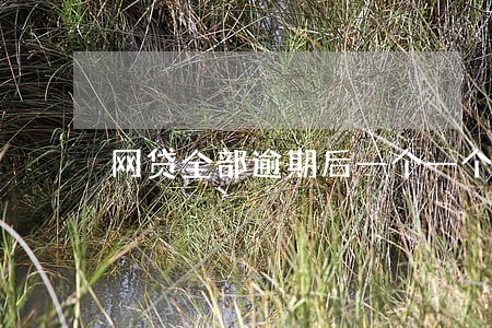 网贷全部逾期后一个一个还可以吗 网贷全部逾期后一个一个还可以吗