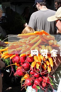 网贷全部逾期哪里还能借到钱 网贷全部逾期哪里还能借到钱