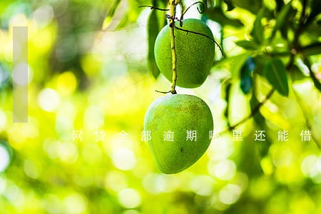 网贷全部逾期哪里还能借款 网贷全部逾期哪里还能借款