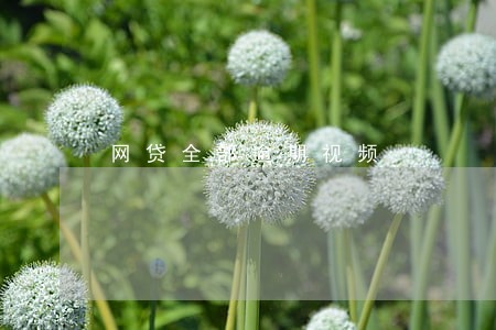 网贷全部逾期视频 网贷全部逾期视频