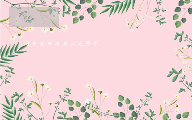 网贷全部逾期该还哪个 网贷全部逾期该还哪个