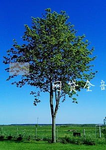 网贷全部逾期骚扰家人怎么办 网贷全部逾期骚扰家人怎么办