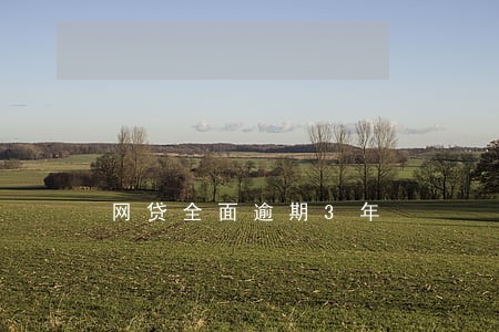 网贷全面逾期3年