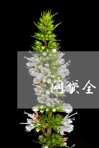 网贷全面逾期8天 网贷全面逾期8天