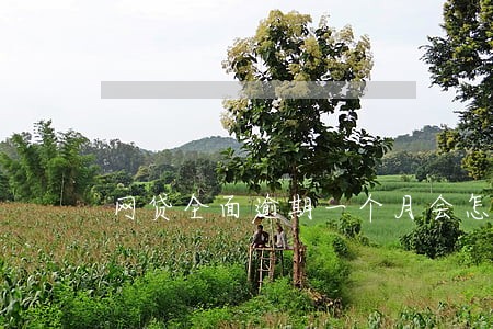 网贷全面逾期一个月会怎么样 网贷全面逾期一个月会怎么样