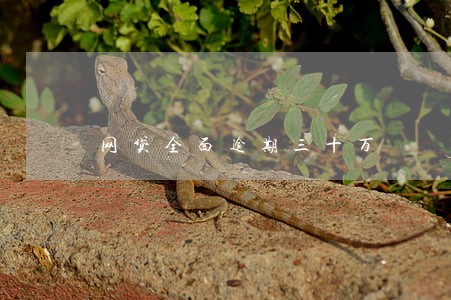 网贷全面逾期三十万 网贷全面逾期三十万
