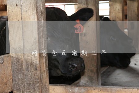 网贷全面逾期三年 网贷全面逾期三年