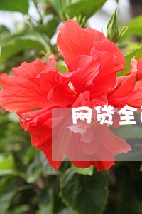 网贷全面逾期个人感受