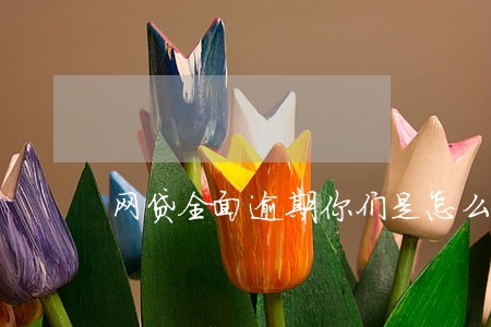 网贷全面逾期你们是怎么过的 网贷全面逾期你们是怎么过的